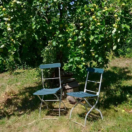 Sommer81 Weinheim
