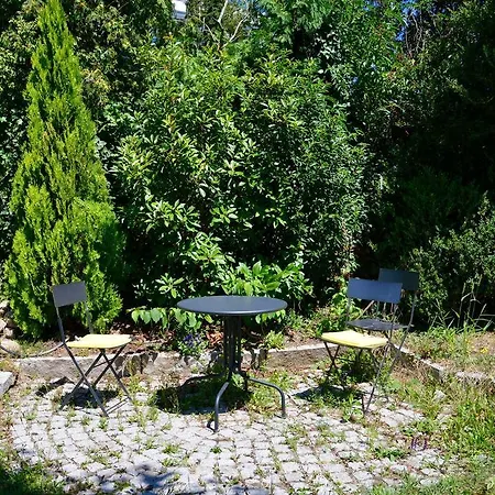 Sommer81